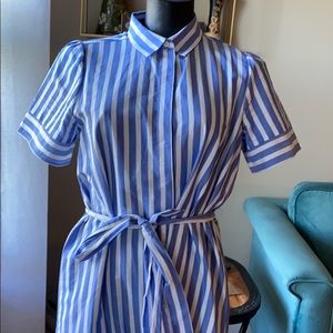 A blue and white striped dress
